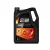 Selenia K Pure Energy 5W-40 (5 L)