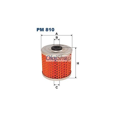 Filtron Üzemanyagszűrő (PM 810)