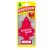 Wunder-baum Zimt-Apfel (fahéjas alma - wunderbaum)