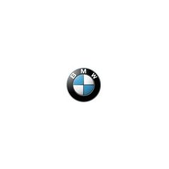 BMW motorolaj